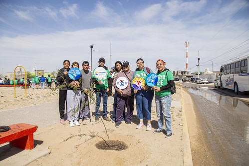 Voluntariado | Plantemos Hoy 28 de marzo 2026